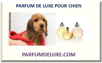 PARFUM DE LUXE POUR CHIEN 2026-2027