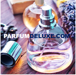 Parfum luxe : notre sélection de parfums de luxe - Elle